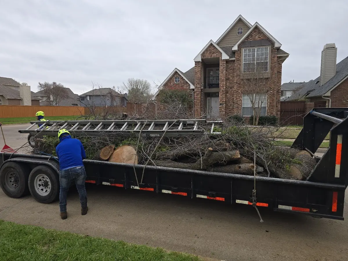 Expert Tree Pest Control with proper safety equipment in Polk City